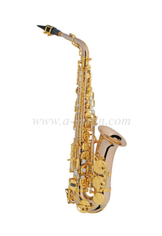 Saxofón alto (modelo de estudiante avanzado) -YNG style (SP1013NS-G)