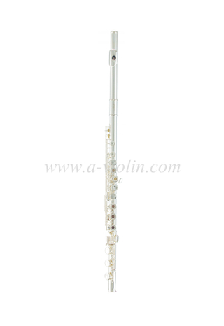 Hermosa flauta C plateada a la venta (FL-M4000SE)