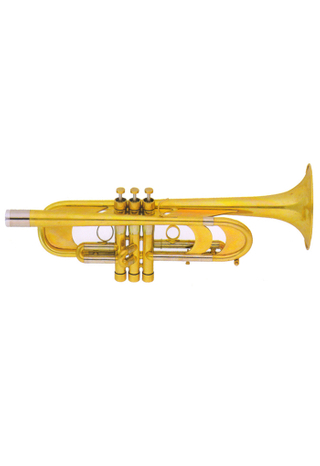 Trompeta pesada bB Key de alto grado (TP-H499P-SYY)
