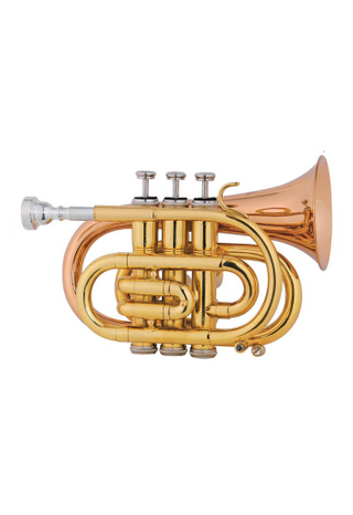 Trompeta de bolsillo para estudiantes bB Key Advanced (HTP8504G-YYR)